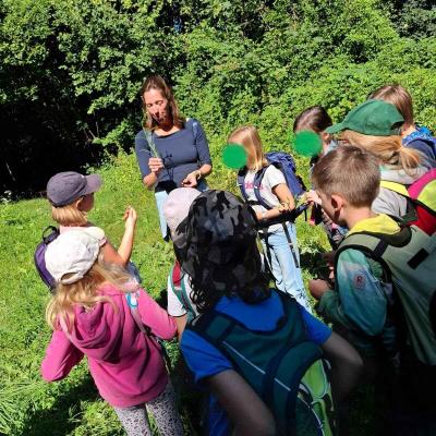 Kräuterwanderung